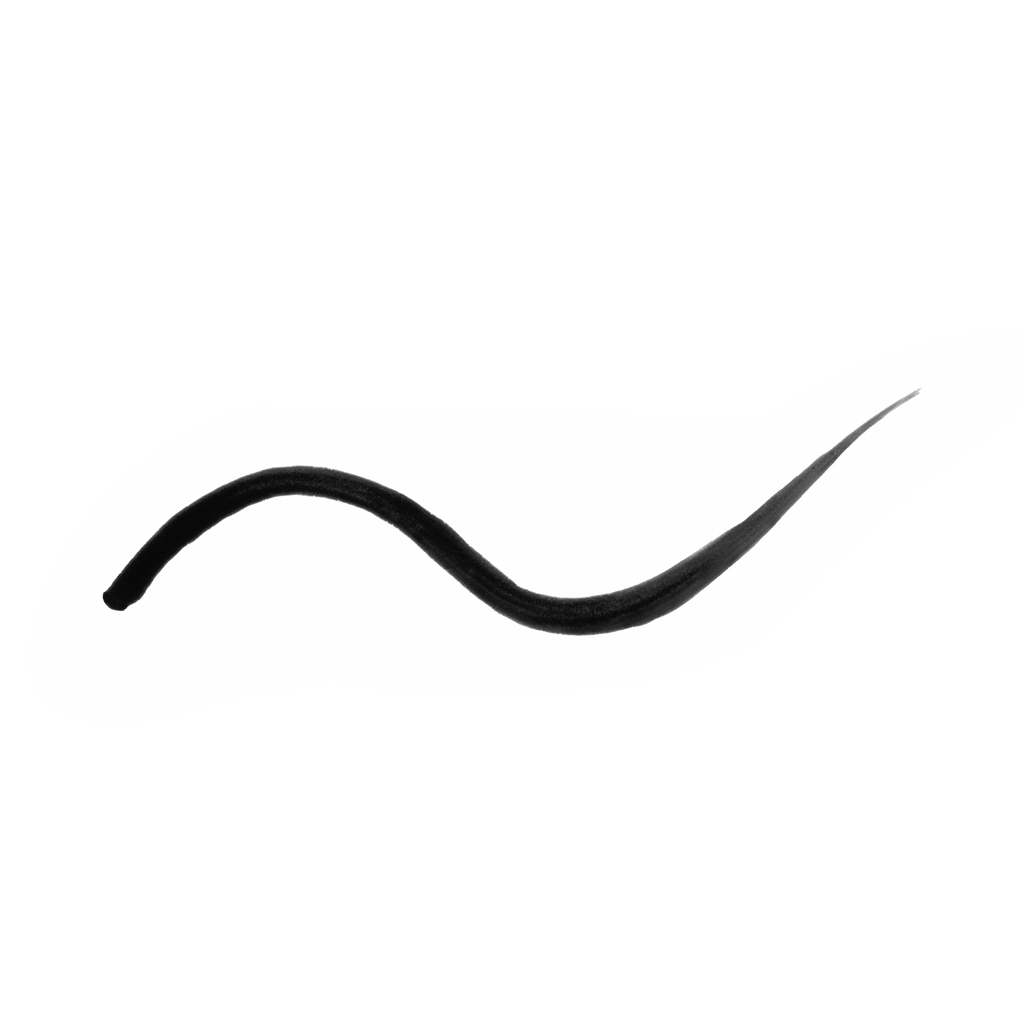 Precision Liquid Eyeliner